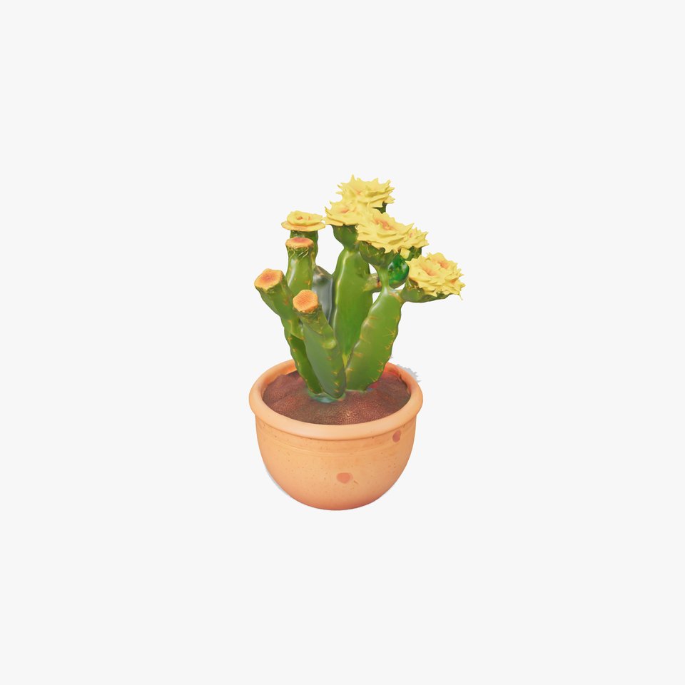 Yellow Blooming Cactus model pack